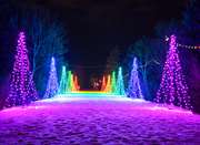 2023-Christmas-lights-blog-gallery-3